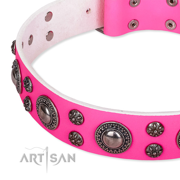 Walking embellished dog collar of high quality leather