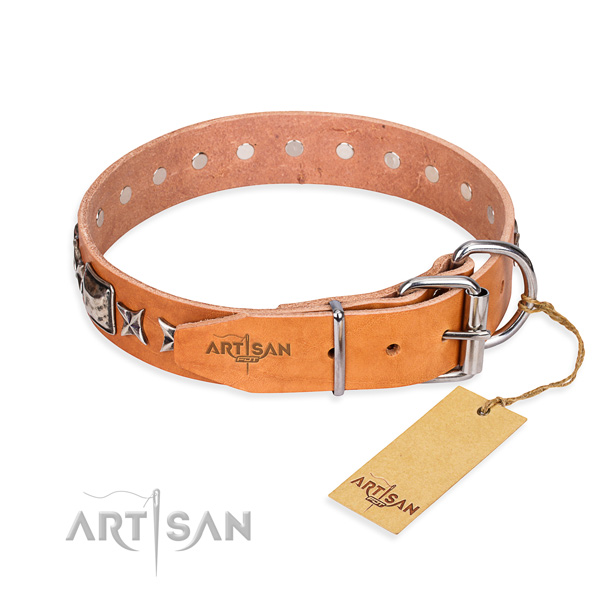 High quality studded dog collar of natural leather