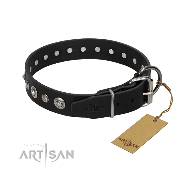 Strong leather dog collar with significant adornments