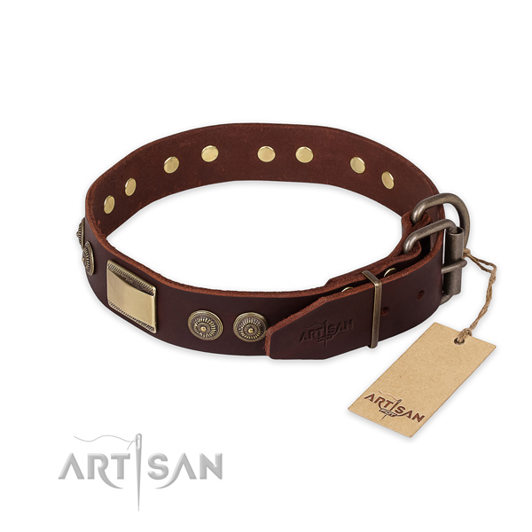 Corrosion resistant traditional buckle on full grain natural leather collar for stylish walking your dog