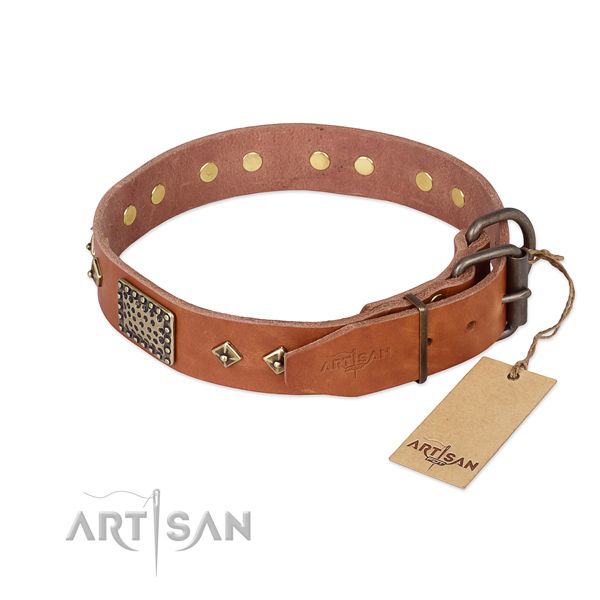 Natural leather dog collar with rust resistant D-ring and studs