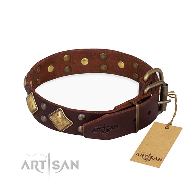 Full grain leather dog collar with stunning rust-proof studs