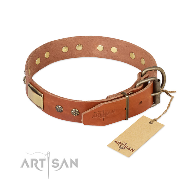 Full grain natural leather dog collar with corrosion proof buckle and adornments