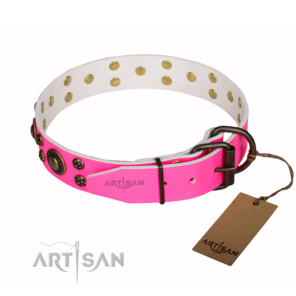 Everyday use adorned dog collar of quality genuine leather