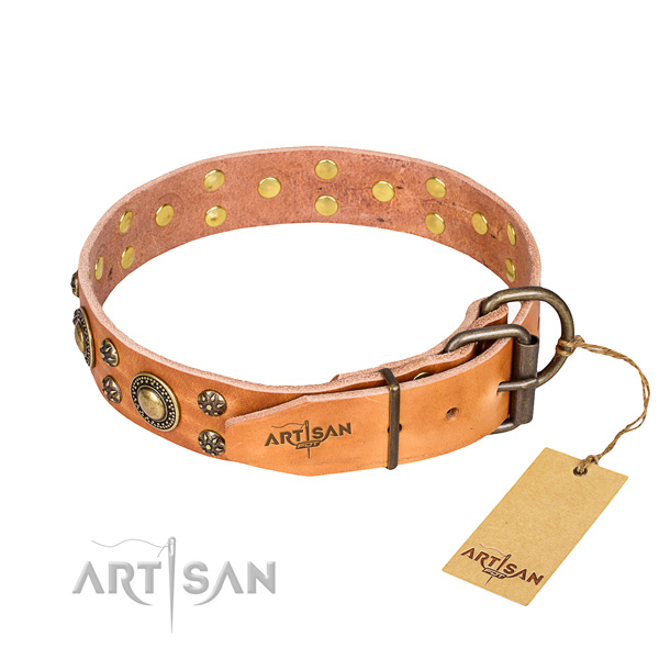 Daily walking embellished dog collar of top quality full grain natural leather