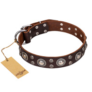 "Age of Beauty" FDT Artisan Incredible Studded Brown Leather German Shepherd Collar