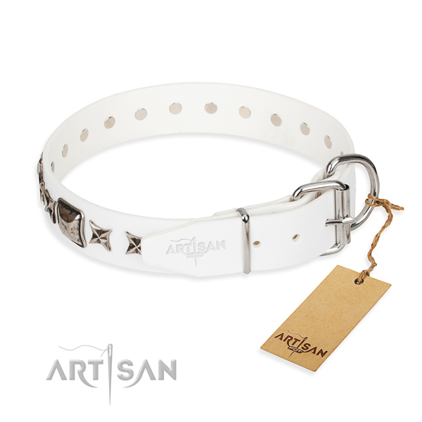 Top notch studded dog collar of full grain natural leather