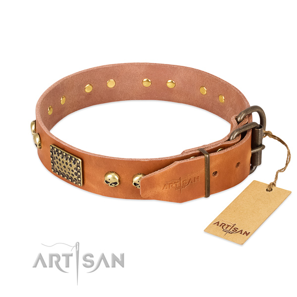 Rust-proof traditional buckle on stylish walking dog collar