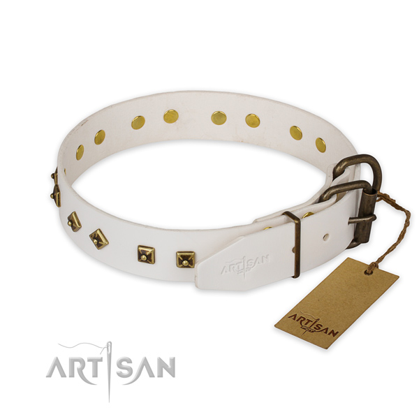 Strong fittings on full grain leather collar for everyday walking your pet