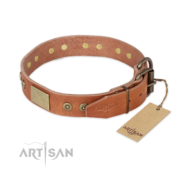 Corrosion proof fittings on natural genuine leather collar for daily walking your pet