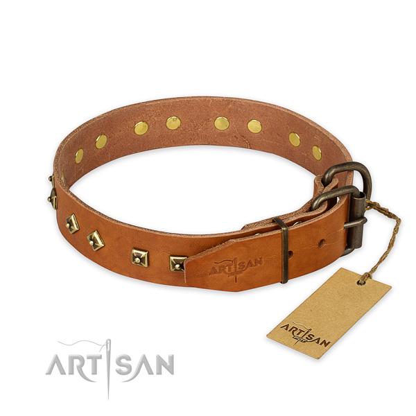 Corrosion resistant traditional buckle on leather collar for daily walking your dog