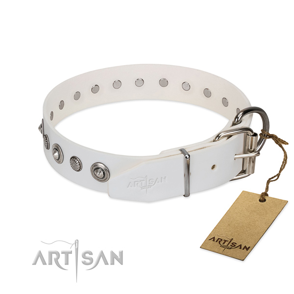Top notch leather dog collar with exquisite adornments