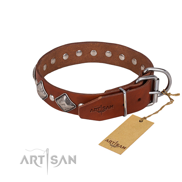 Everyday use embellished dog collar of finest quality full grain genuine leather