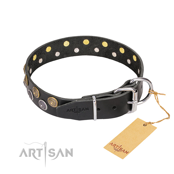 Comfy wearing studded dog collar of top quality full grain natural leather