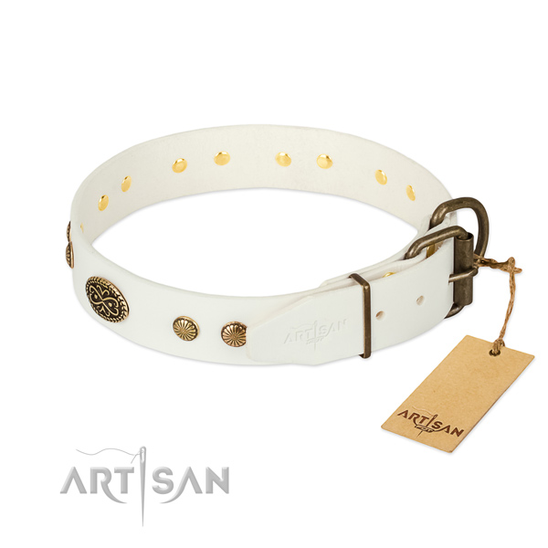 Strong embellishments on genuine leather dog collar for your pet