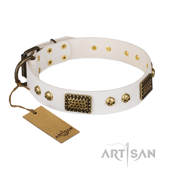 Corrosion resistant hardware on everyday walking dog collar