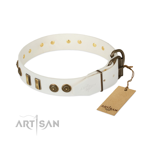 Reliable decorations on genuine leather dog collar for your canine