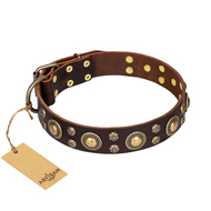 "Flower Melody" FDT Artisan Brown Leather German Shepherd Collar with Mixed Studs