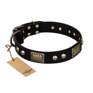 "Biker Style" FDT Artisan Black Leather German Shepherd Collar with Old Bronze Look Plates and Skulls "Biker Style" FDT Artisan Black Leather German Shepherd Collar with Old Bronze Look Plates and Skulls