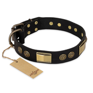 "Ancient Egypt" FDT Artisan Leather German Shepherd Collar with Old Bronze Look Decorations "Ancient Egypt" FDT Artisan Leather German Shepherd Collar with Old Bronze Look Decorations