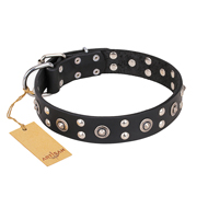 "Refined Essence" FDT Artisan Black Leather German Shepherd Collar with Silvery Studs