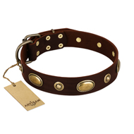"Hebe's Jewel" FDT Artisan Brown Genuine Leather German Shepherd Collar