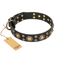 "Baroque Chic" FDT Artisan Studded Black Leather German Shepherd Collar