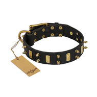 "Medieval Style" FDT Artisan Leather German Shepherd Collar with Brass Plated Plates and Spikes