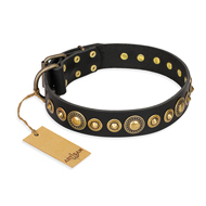 "Gold Mine" FDT Artisan Black Leather German Shepherd Collar with Amazing Bronze-Plated Round Studs