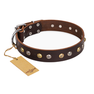 "Golden"n"Silver Luxury" FDT Artisan Leather German Shepherd Collar with Engraved Studs