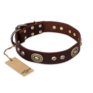 "Breath of Elegance" FDT Artisan Decorated with Plates Brown Leather German Shepherd Collar "Breath of Elegance" FDT Artisan Decorated with Plates Brown Leather German Shepherd Collar