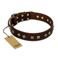 "Fashion Studs" FDT Artisan Decorated Leather German Shepherd Collar with Old Bronze-Plated Steel Hardware