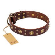 "Caprice of Fashion" FDT Artisan Brown Leather German Shepherd Collar with Round Decorations "Caprice of Fashion" FDT Artisan Brown Leather German Shepherd Collar with Round Decorations