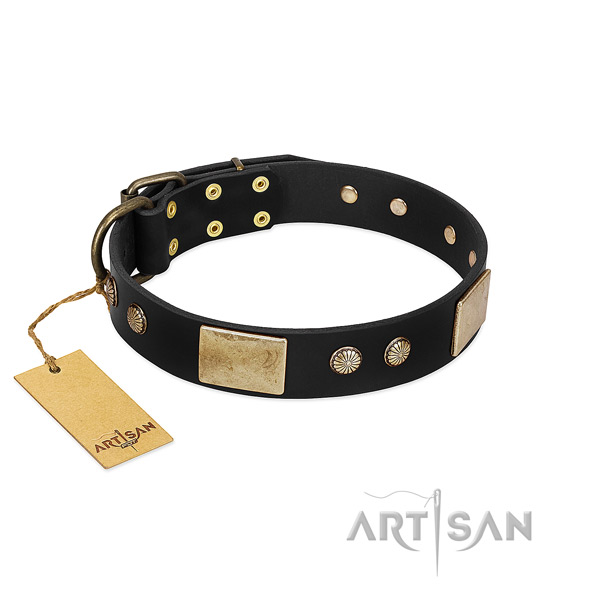Easy to adjust leather dog collar for everyday walking your canine