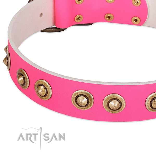 Rust resistant decorations on natural genuine leather dog collar for your four-legged friend