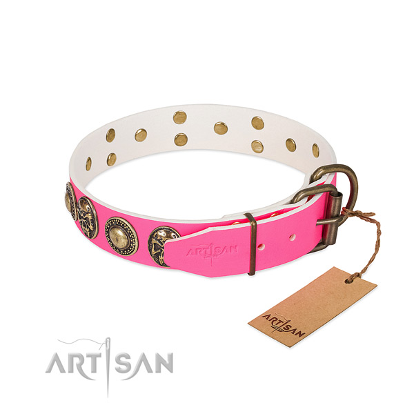 Reliable decorations on stylish walking dog collar