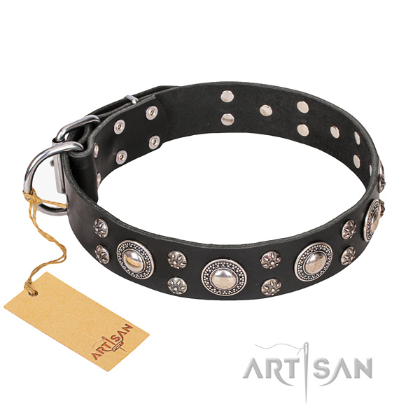 Daily use dog collar of fine quality leather with adornments