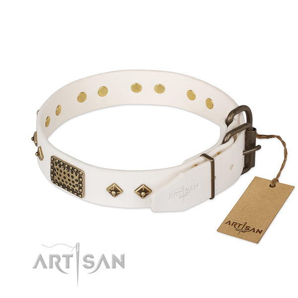 Leather dog collar with reliable buckle and embellishments
