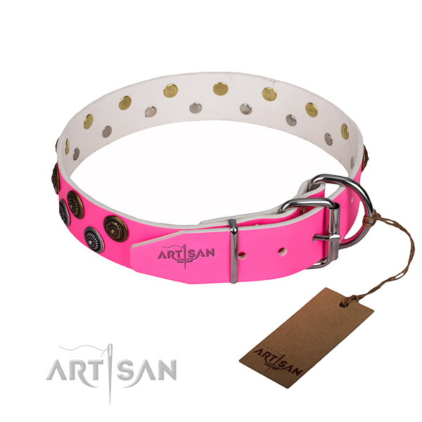 Daily use studded dog collar of high quality full grain genuine leather