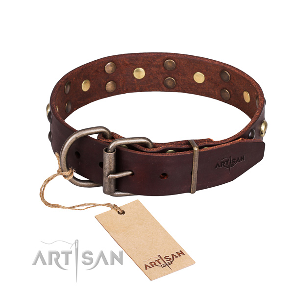 Walking decorated dog collar of top notch full grain leather