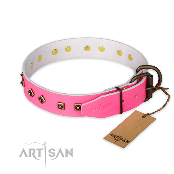 Reliable buckle on full grain genuine leather collar for basic training your canine