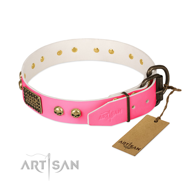 Reliable adornments on stylish walking dog collar