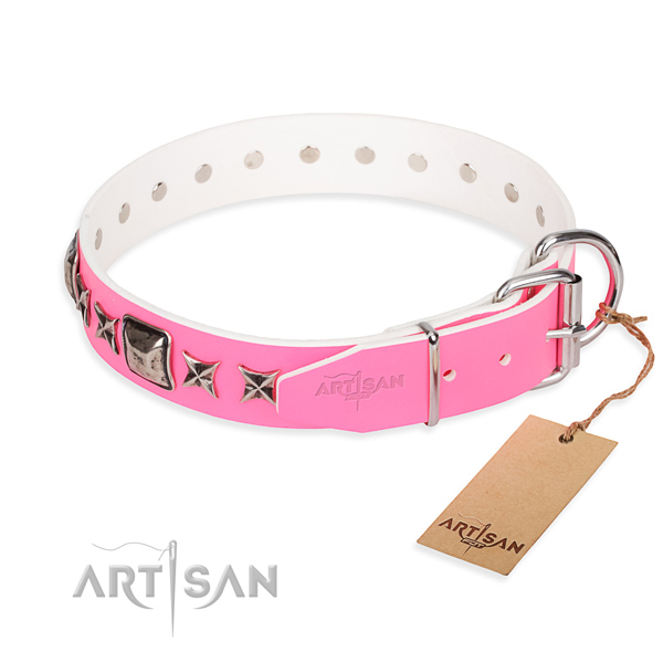 Finest quality embellished dog collar of full grain genuine leather