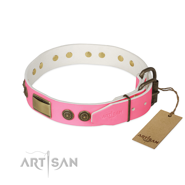 Rust-proof studs on everyday walking dog collar