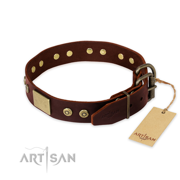 Rust-proof studs on everyday walking dog collar