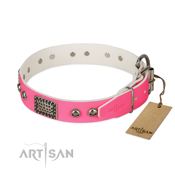 Rust-proof hardware on walking dog collar