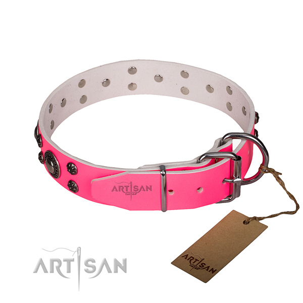 Everyday walking adorned dog collar of strong leather