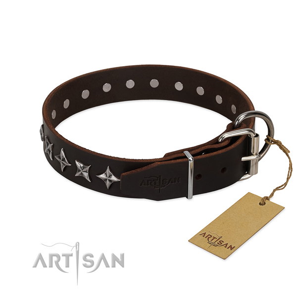 Walking decorated dog collar of fine quality leather