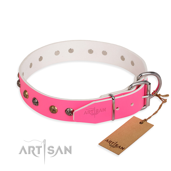 Genuine leather dog collar with awesome rust resistant adornments