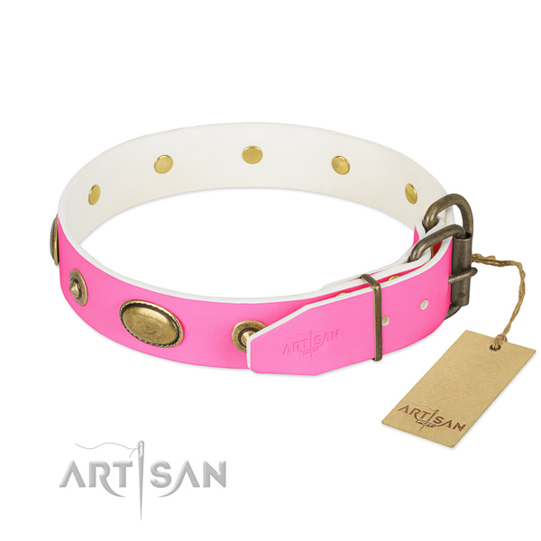 Strong fittings on full grain leather dog collar for your pet